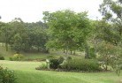 Grand Ridgeresidential-landscaping-40.jpg; ?>